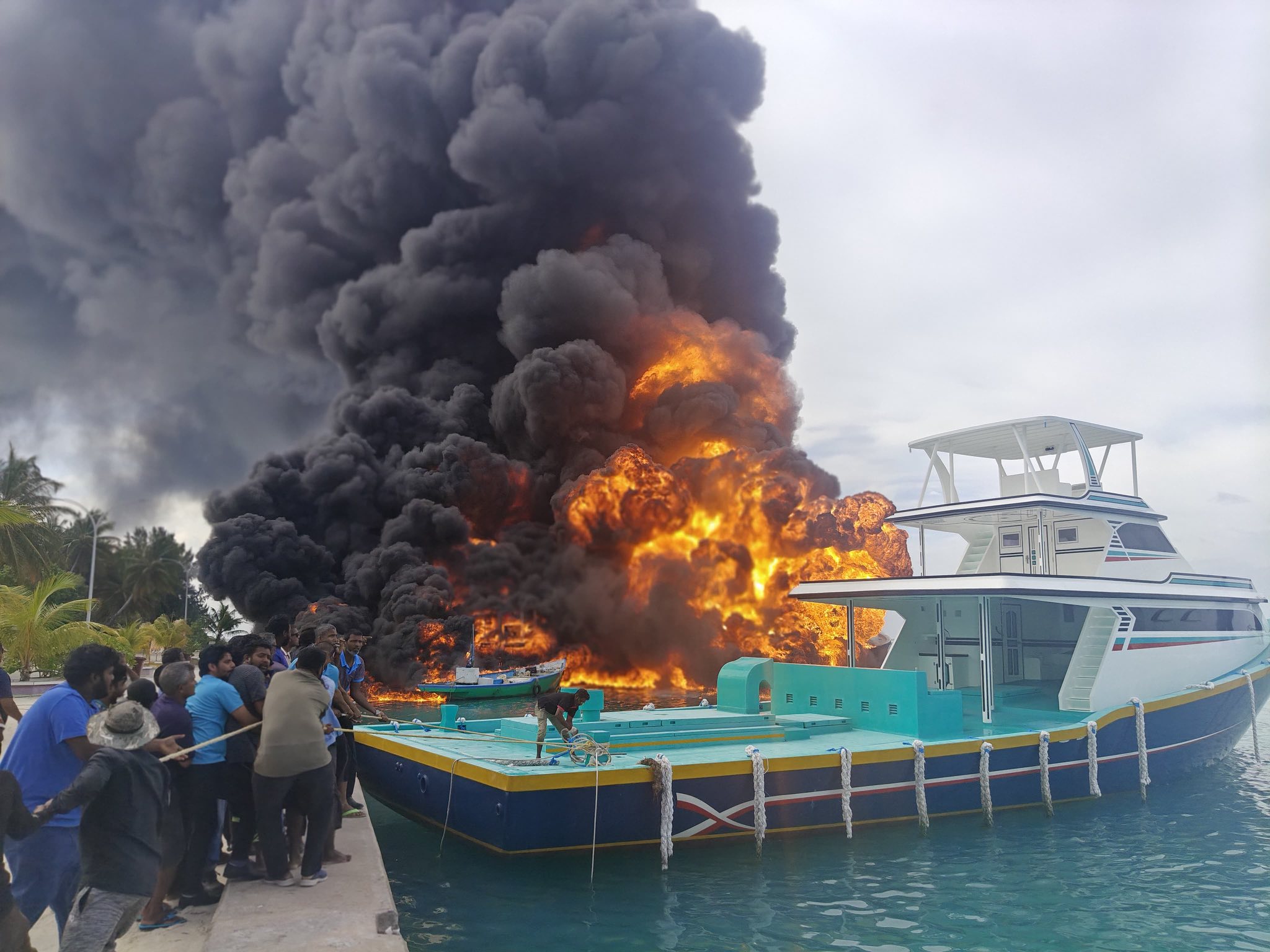 667895256 1349273967234913 7470069260171818546 n